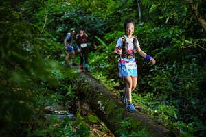 BIB: 
                            <button type="button" onclick="openModal(18922056)" class="btn btn-primary btn-sm float-right btn-popup" data-toggle="modal" data-target=".modal-high-quality">
                        <i class="fas fa-shopping-cart"></i> Add to Cart
                    </button>
                                            <button type="button" onclick="isThisMe(18922056, true)" class="btn btn-success btn-sm float-right btn-popup btn-isme hidden" data-toggle="tooltip" data-placement="bottom" title="นี่คือรูปของคุณใช่ไหม คลิกที่นี่เพื่อเอาเข้าอัลบั้ม">
                        <i class="fas fa-plus"></i> Add to album
                    </button>
                    <button type="button" onclick="isThisMe(18922056, false)" class="btn btn-warning btn-sm float-right btn-popup btn-isnotme hidden">
                        <i class="fas fa-ban"></i> Remove from album
                    </button>